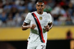 森林之舞：自然竞技中的赛道挑战与胜利瞬间